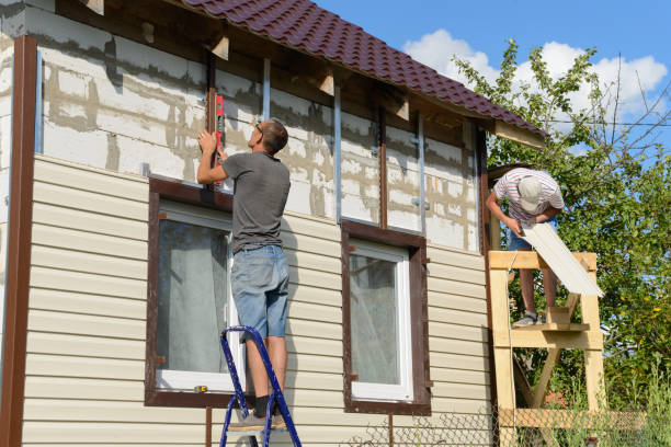 Best Insulated Siding Installation  in Independence, VA